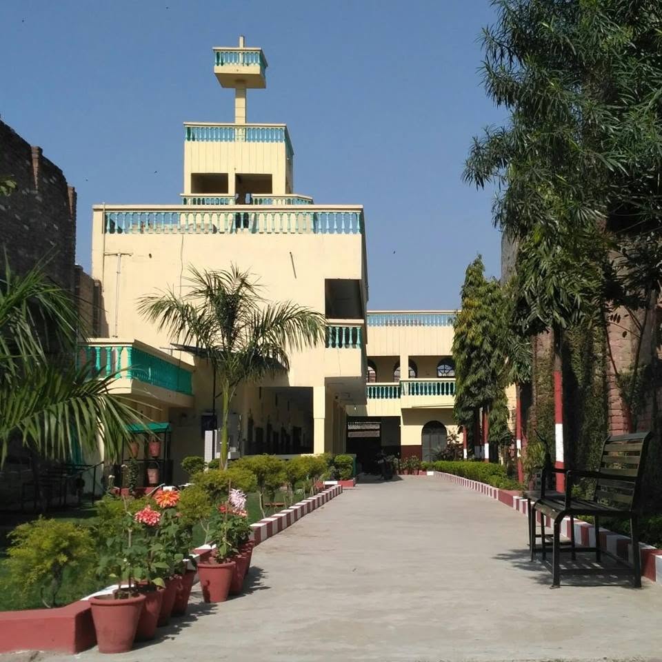 School campus walkway and garden